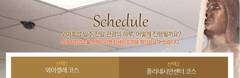오아후섬 일주 일일관광-스케줄